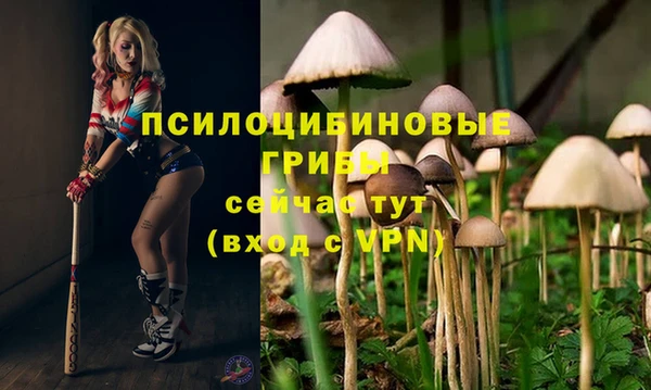 соль курить ск Алексин