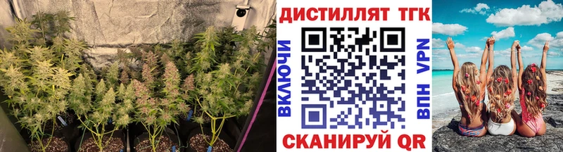 ТГК Wax  hydra сайт  Аткарск 